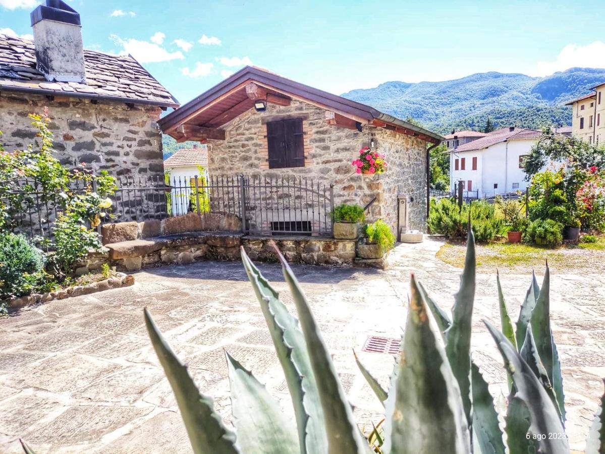 Il Bosco Di Silvia Ξενοδοχείο Εξωτερικό φωτογραφία